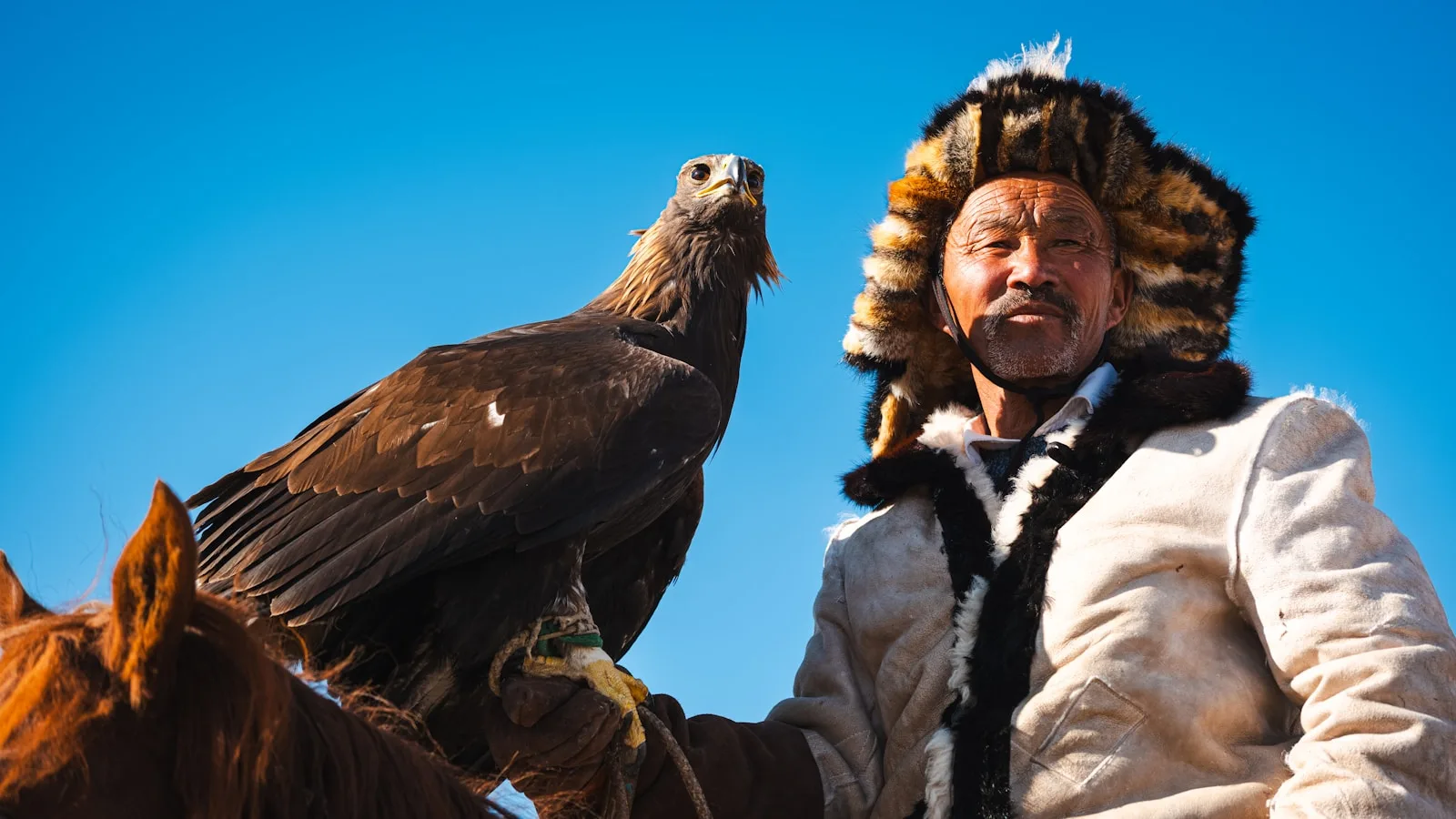 Le festival des chasseurs à l'aigle (Eagle Festival)