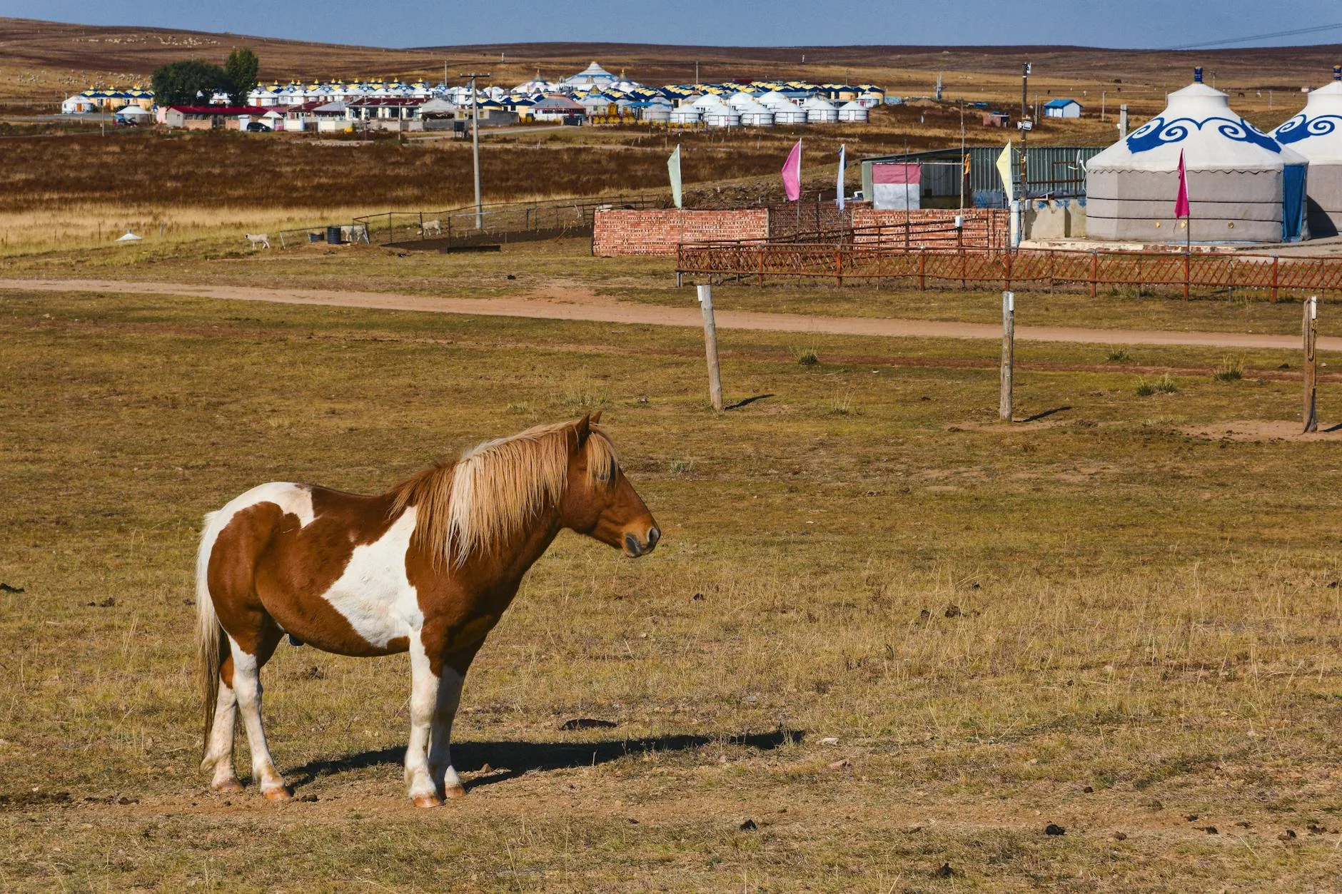 La steppe : l'âme mongole